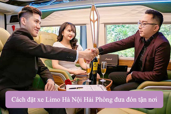 Xe Limo Ha Noi Hai Phong Vedientu